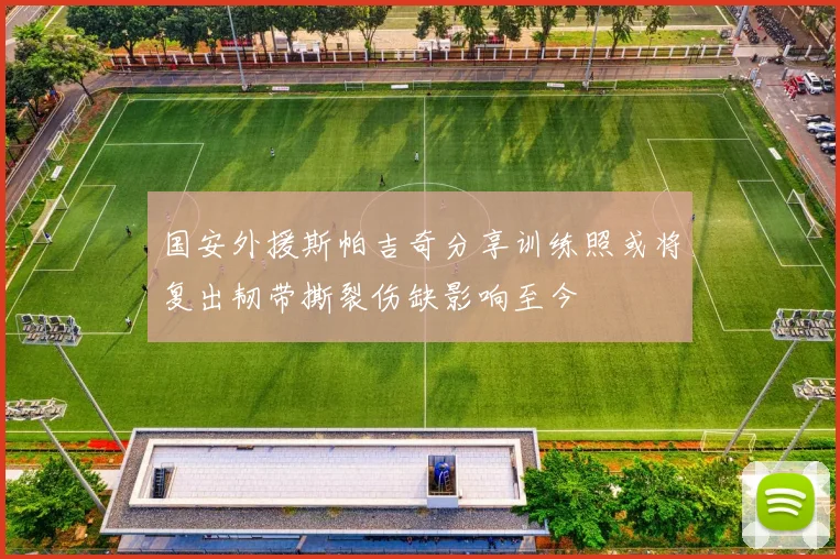 国安外援斯帕吉奇分享训练照或将复出韧带撕裂伤缺影响至今