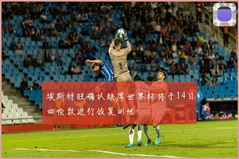 埃斯特旺确认缺席世界杯将于14日回伦敦进行恢复训练
