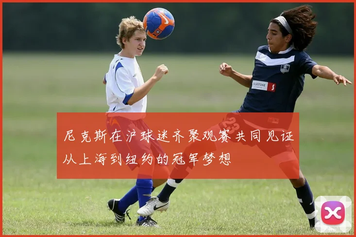 尼克斯在沪球迷齐聚观赛共同见证从上海到纽约的冠军梦想